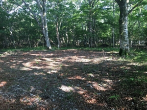 【四季折々の風景】広葉樹の豊かな植生が魅力。落葉期には、富士を望む(富士月見丘3丁目152番地)